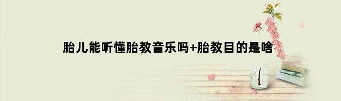 胎儿能听懂胎教音乐吗 胎教目的是啥