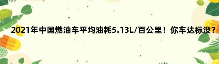 2021年中国燃油车平均油耗5.13L/百公里！你车达标没？