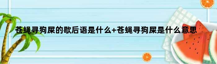 苍蝇寻狗屎的歇后语是什么 苍蝇寻狗屎是什么意思