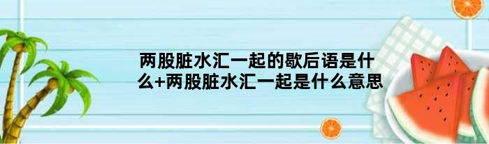 两股脏水汇一起的歇后语是什么 两股脏水汇一起是什么意思