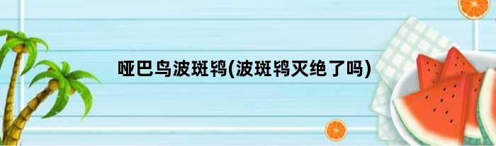“哑巴鸟”波斑鸨(波斑鸨灭绝了吗)