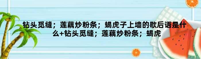 钻头觅缝；莲藕炒粉条；蝎虎子上墙的歇后语是什么 钻头觅缝；莲藕炒粉条；蝎虎子上墙是什么意思