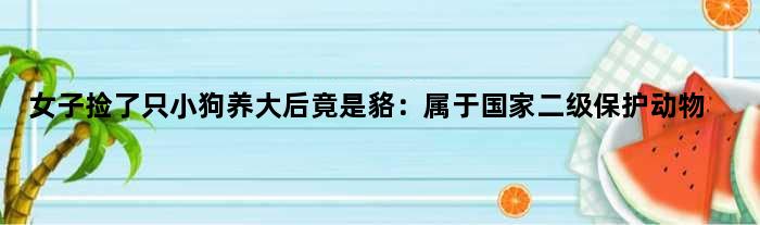 女子捡了只小狗养大后竟是貉：属于二级保护动物