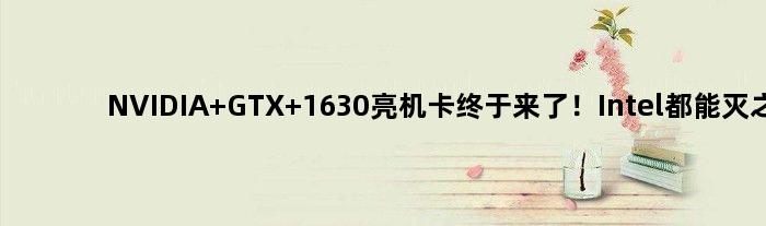 NVIDIA GTX 1630亮机卡终于来了！Intel都能灭之