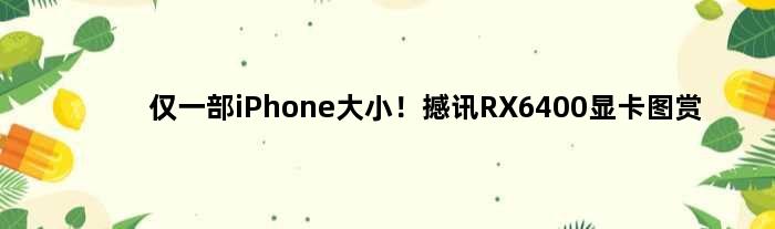 仅一部iPhone大小！撼讯RX6400显卡图赏