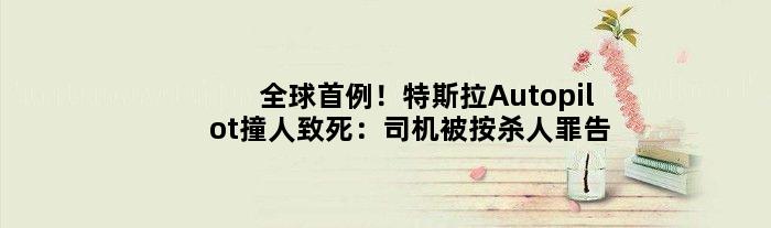 全球首例！特斯拉Autopilot撞人致死：司机被按“杀人罪”告状