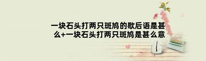 一块石头打两只斑鸠的歇后语是甚么 一块石头打两只斑鸠是甚么意思