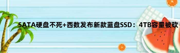 SATA硬盘不死 西数发布新款蓝盘SSD：4TB容量被砍