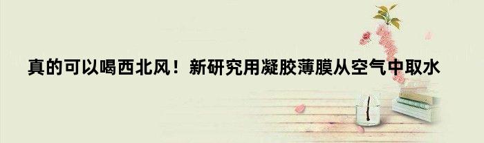 真的可以“喝西北风”！新研究用凝胶薄膜从空气中取水
