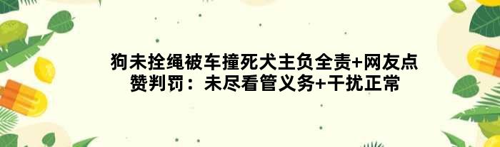 狗未拴绳被车撞死犬主负全责 网友点赞判罚：未尽看管义务 干扰正常车辆