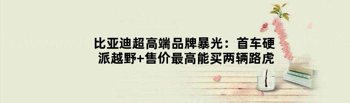 比亚迪超高端品牌暴光：首车硬派越野 售价更高能买两辆路虎