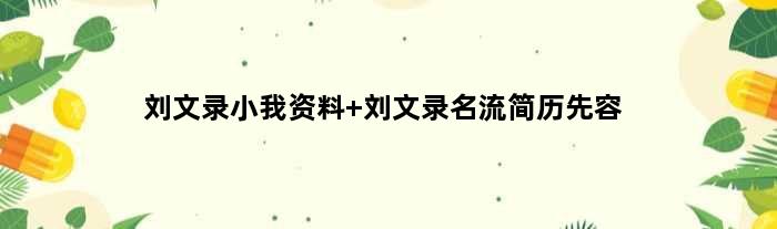 刘文录小我资料 刘文录名流简历先容