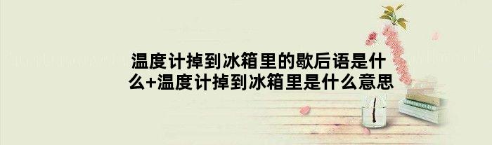 温度计掉到冰箱里的歇后语是什么 温度计掉到冰箱里是什么意思