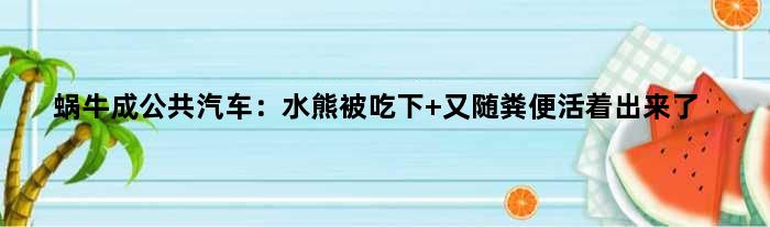 蜗牛成“公共汽车”：水熊被吃下 又随粪便活着出来了