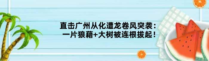 直击广州从化遭龙卷风突袭：一片狼藉 大树被连根拔起！