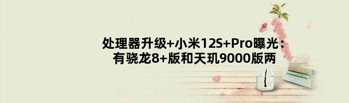 处理器升级 小米12S Pro曝光：有骁龙8+版和天玑9000版两种选择