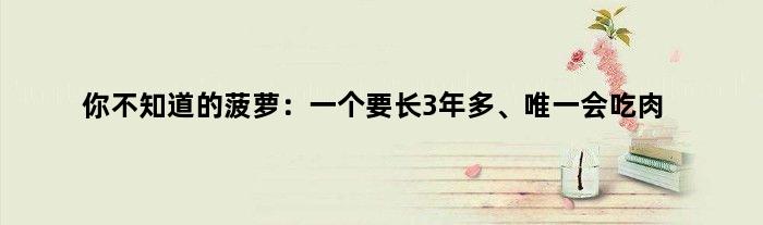 你不知道的菠萝：一个要长3年多、会“吃肉”
