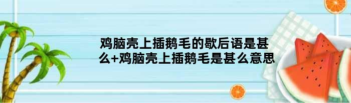 鸡脑壳上插鹅毛的歇后语是甚么 鸡脑壳上插鹅毛是甚么意思