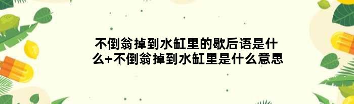 不倒翁掉到水缸里的歇后语是什么 不倒翁掉到水缸里是什么意思