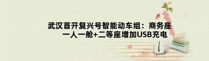 武汉首开复兴号智能动车组：商务座一人一舱 二等座增加USB充电接口