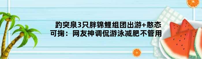 趵突泉3只胖锦鲤组团出游 憨态可掬：网友神调侃游泳减肥不管用