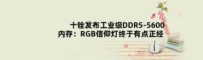 十铨发布工业级DDR5-5600内存：RGB信仰灯终于有点正经用了
