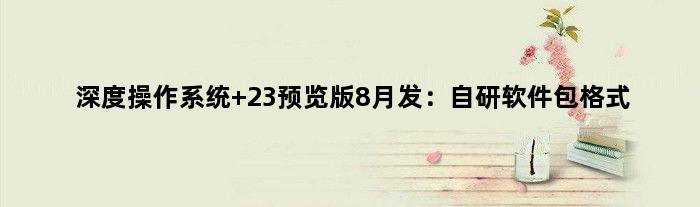 深度操作系统 23预览版8月发：自研软件包格式