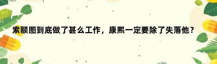索额图到底做了甚么工作，康熙一定要除了失落他？