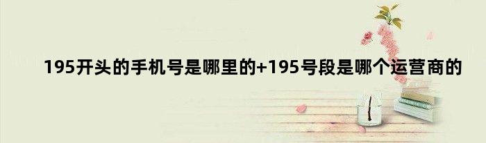 195开头的手机号是哪里的 195号段是哪个运营商的