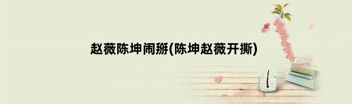 赵薇陈坤闹掰(陈坤赵薇开撕)