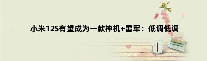 小米12S有望成为一款神机 雷军：低调低调