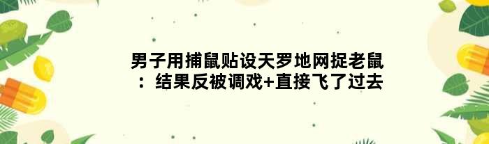 男子用捕鼠贴设天罗地网捉老鼠：结果反被调戏 直接“飞”了过去