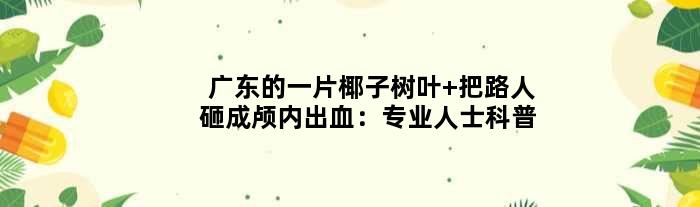 广东的一片椰子树叶 把路人砸成颅内出血：专业人士科普