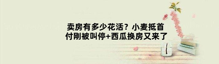卖房有多少花活？小麦抵首付刚被叫停 西瓜换房又来了