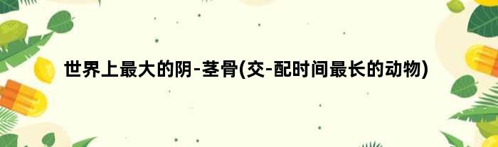 世界上更大的阴-茎骨(交-配时间最长的动物)