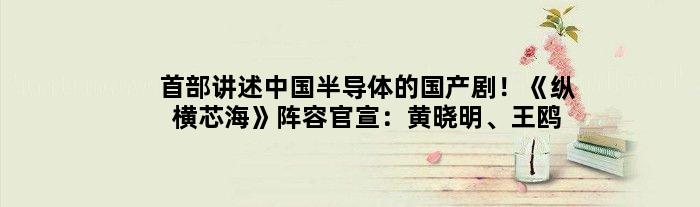 首部讲述中国半导体的国产剧！《纵横芯海》阵容官宣：黄晓明、王鸥主演