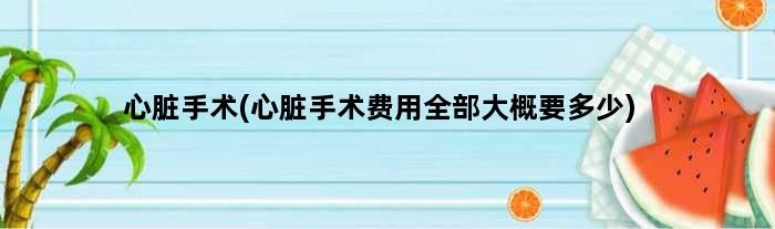 心脏手术(心脏手术费用全部大概要多少)