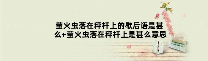 萤火虫落在秤杆上的歇后语是甚么 萤火虫落在秤杆上是甚么意思
