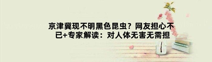 京津冀现不明黑色昆虫？网友担心不已 专家解读：对人体无害无需担心