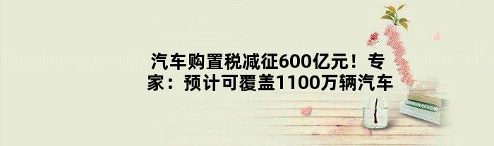 汽车购置税减征600亿元！专家：预计可覆盖1100万辆汽车