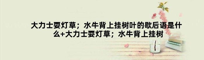 大力士耍灯草；水牛背上挂树叶的歇后语是什么 大力士耍灯草；水牛背上挂树叶是什么意思