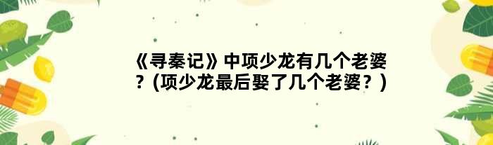 《寻秦记》中项少龙有几个老婆？(项少龙最后娶了几个老婆？)