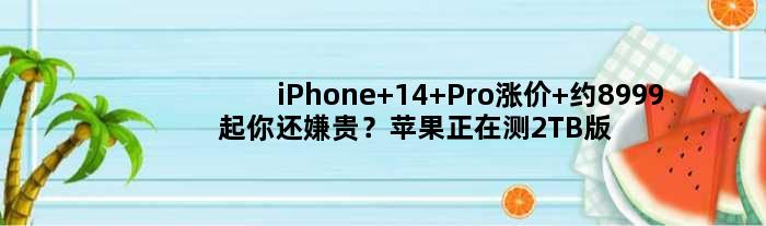 iPhone 14 Pro涨价 约8999起你还嫌贵？苹果正在测2TB版 价格更感人