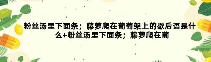粉丝汤里下面条；藤萝爬在葡萄架上的歇后语是什么 粉丝汤里下面条；藤萝爬在葡萄架上是什么意思