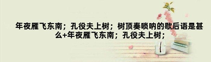 年夜雁飞东南；孔役夫上树；树顶奏唢呐的歇后语是甚么 年夜雁飞东南；孔役夫上树；树顶奏唢呐是甚么意思