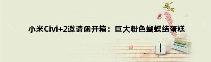 小米Civi 2邀请函开箱：巨大粉色蝴蝶结蛋糕
