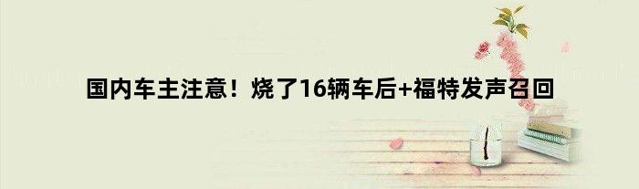 国内车主注意！烧了16辆车后 福特发声召回