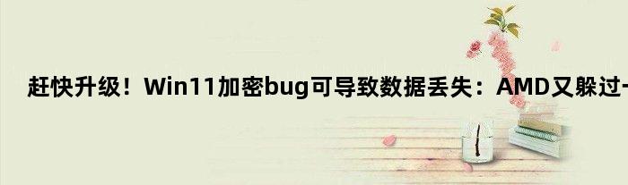 赶快升级！Win11加密bug可导致数据丢失：AMD又躲过一劫