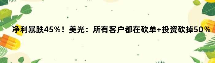 净利暴跌45%！美光：所有客户都在砍单 投资砍掉50％