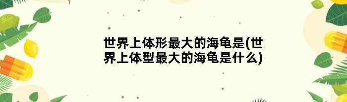 世界上体形更大的海龟是(世界上体型更大的海龟是什么)